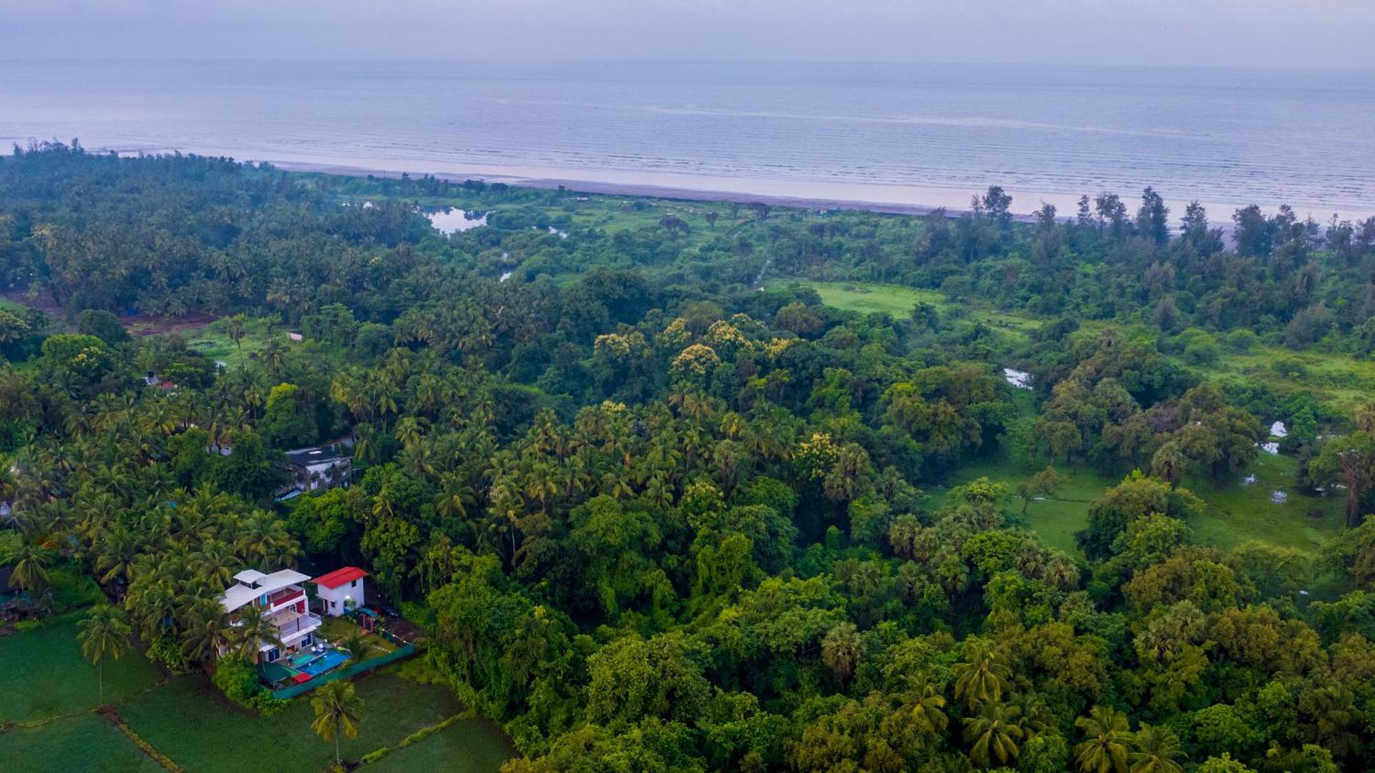 Spicy Mango Villa Elegano - Luxurious Villa Near Nagaon Beach, Alibag المظهر الخارجي الصورة